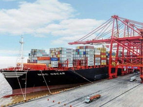 品味黃埔 不可錯過的特色美食與農產品盛宴