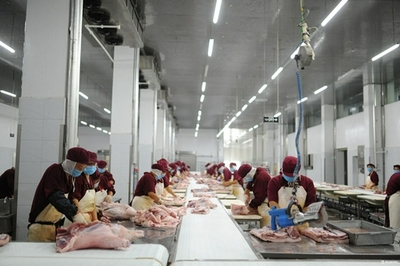 蒙城 綠色農產品暢銷長三角，農業產業高質量發展的新篇章