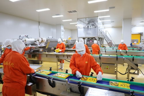 衡水農產品生產 從傳統耕作到現代化農業的轉型升級