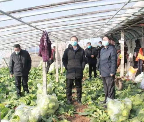 筑牢農(nóng)產(chǎn)品供應保障線——臨沂市農(nóng)業(yè)農(nóng)村局督導莒南縣穩(wěn)產(chǎn)保供工作