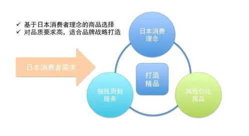 破解日本跨境電商核心痛點，寶麗星以專業運營與系統運維賦能出海之路